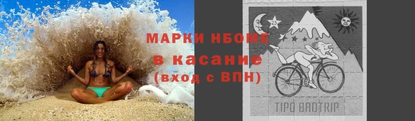 индика Армянск