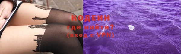 индика Армянск