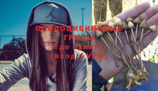 индика Армянск