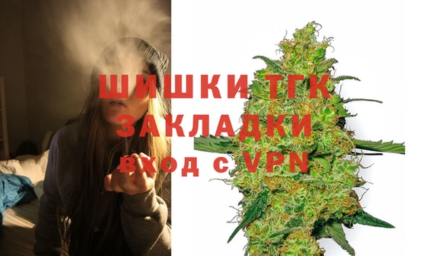 индика Армянск