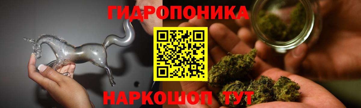 Марихуана план Чернушка